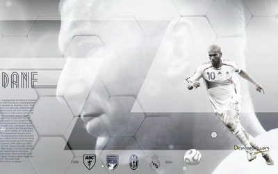 第一体育-丹麦队大巴游行首都哥本哈根